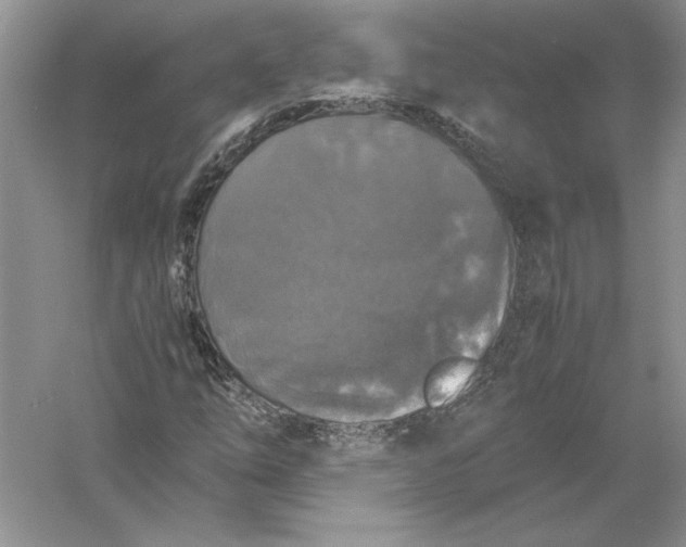 X0000056001254200509092036