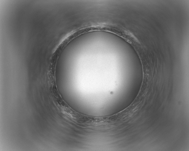 X0000056001256200509092036