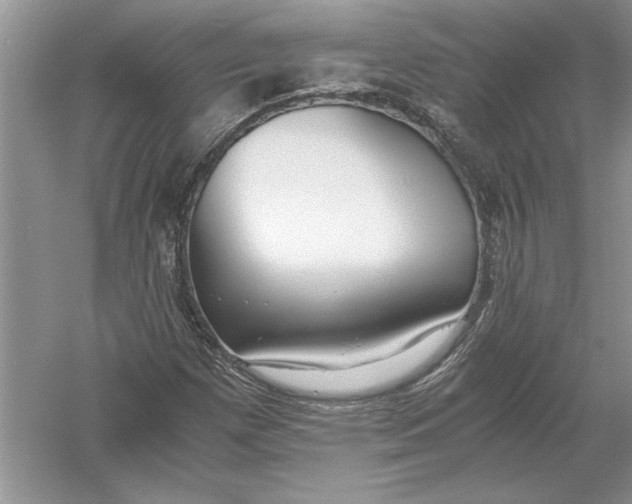 X0000056001257200509092036