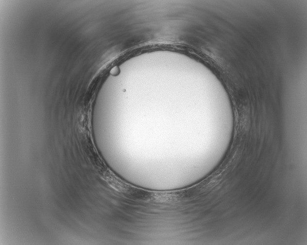 X0000056001258200509092036