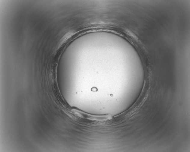 X0000056001259200509092036