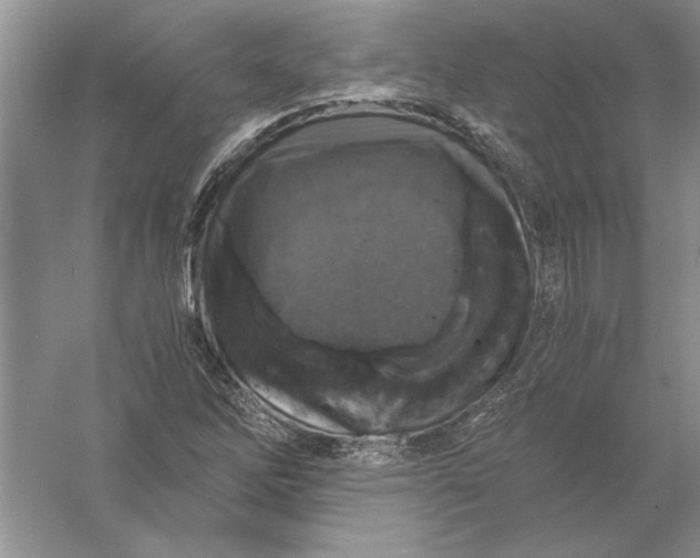 X0000056001262200509092036