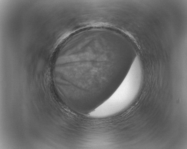 X0000056001263200509092036