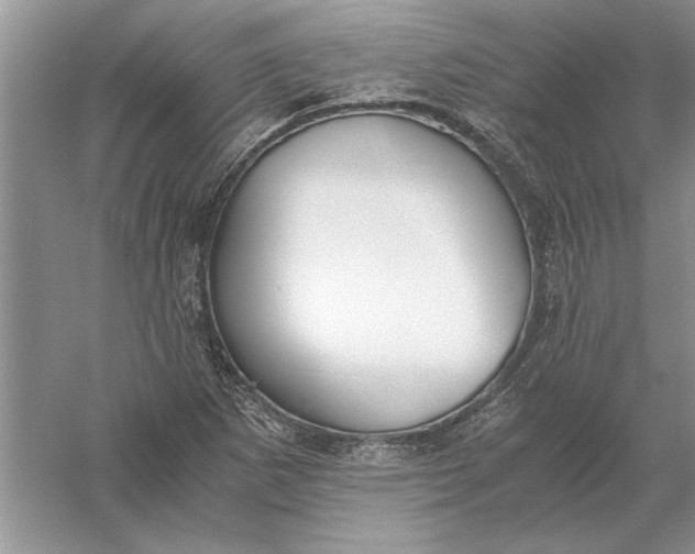 X0000056001265200509092036