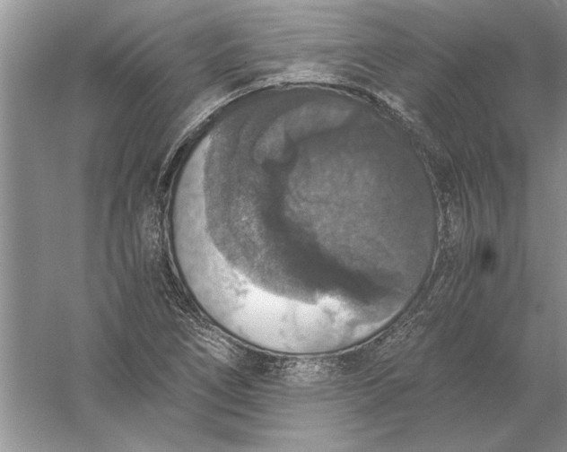 X0000056001266200509092036