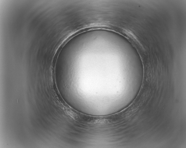 X0000056001268200509092036