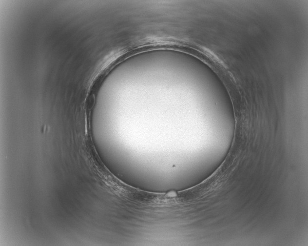 X0000056001269200509092036