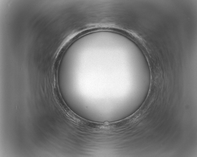 X0000056001271200509092036