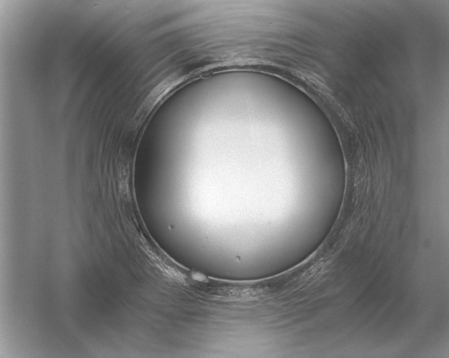 X0000056001273200509092036