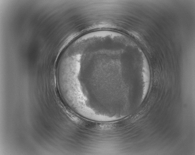 X0000056001274200509092036