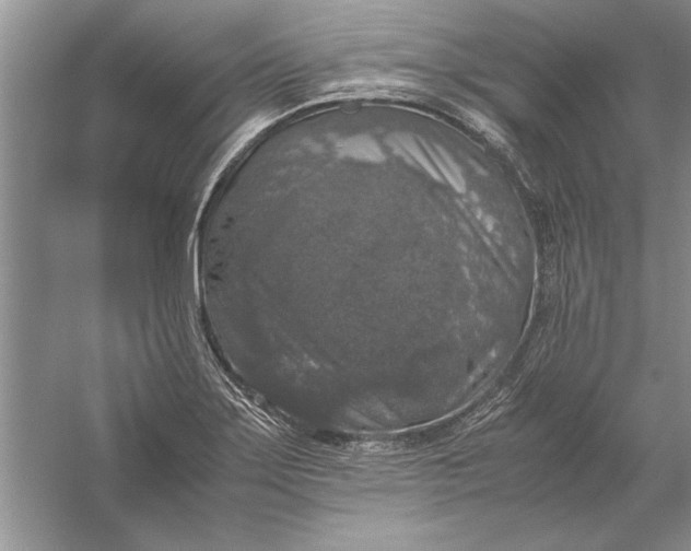 X0000056001275200509092036