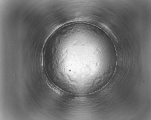 X0000056001276200509092036