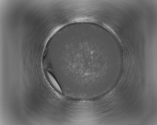 X0000056001277200509092036