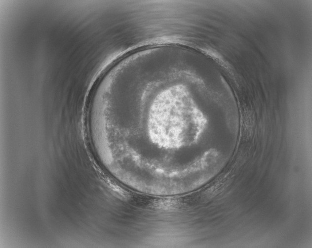 X0000056001278200509092036