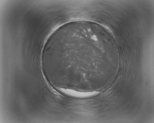 X0000056001279200509092036