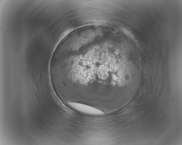 X0000056001283200509092036