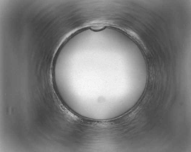 X0000056001288200509092036