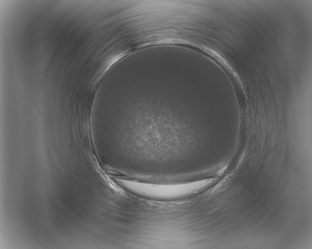 X0000056001289200509092036