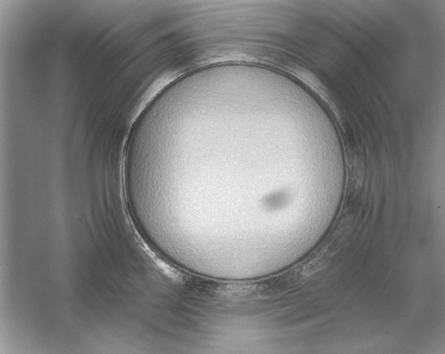 X0000056001290200509092036