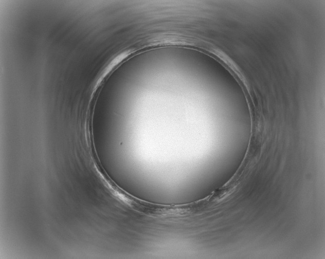 X0000056001293200509092036