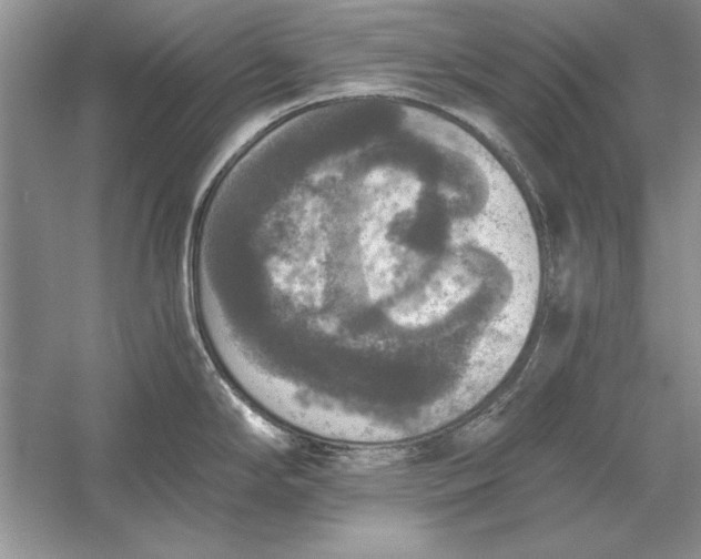 X0000056001294200509092036