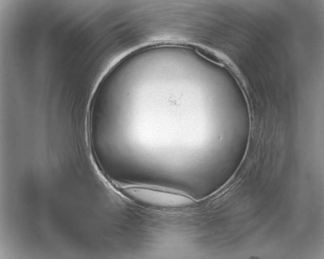 X0000056001295200509092036