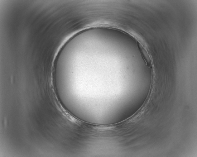 X0000056001296200509092036