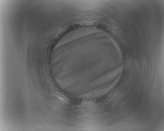 X0000056001297200509092035