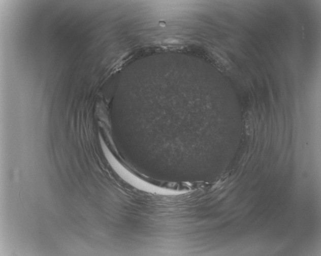 X0000056001298200509092035