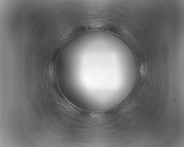 X0000056001299200509092035