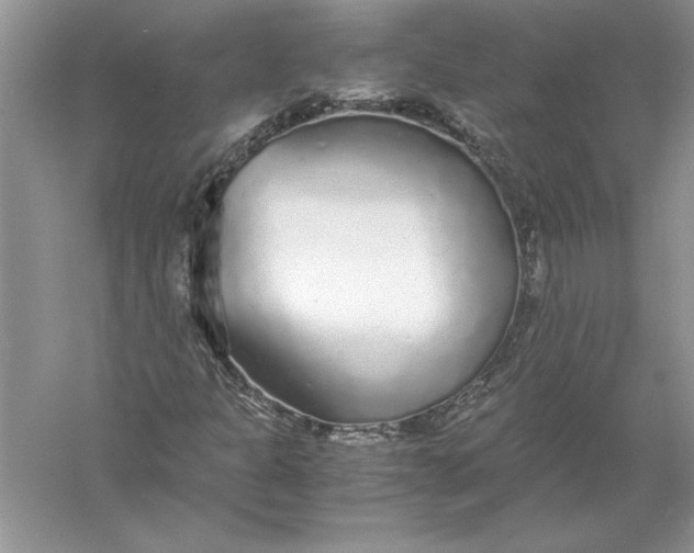 X0000056001301200509092035