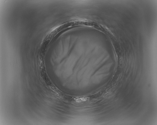 X0000056001303200509092035