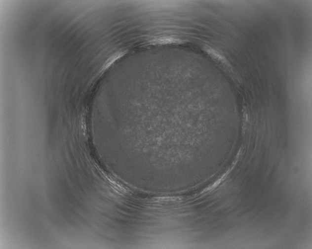 X0000056001305200509092035