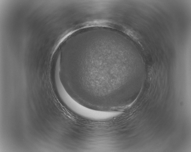 X0000056001312200509092035