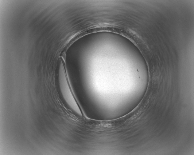 X0000056001313200509092035