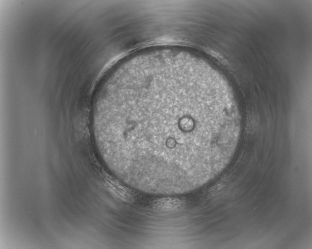 X0000056001314200509092035