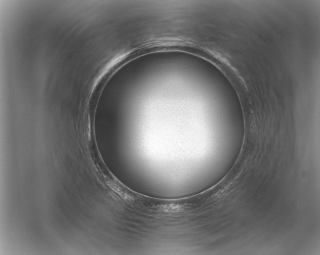 X0000056001317200509092035