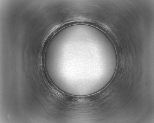 X0000056001318200509092035