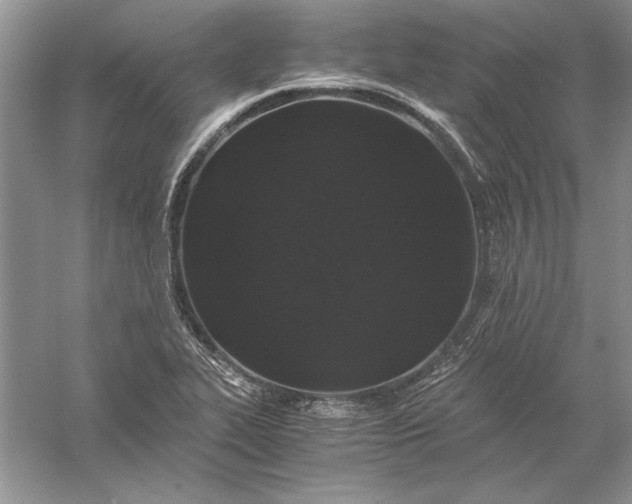 X0000056001319200509092035