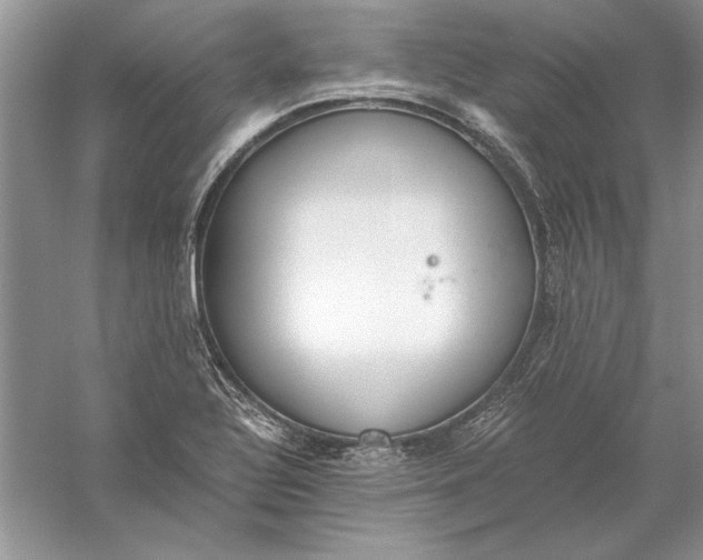 X0000056001320200509092035