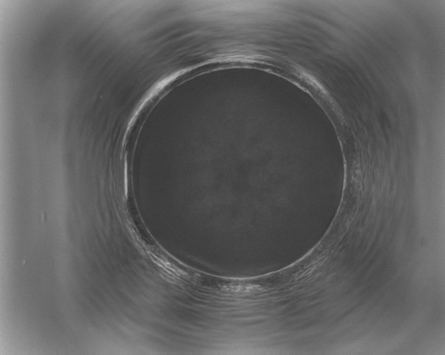 X0000056001323200509092035