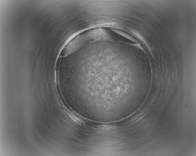 X0000056001324200509092035