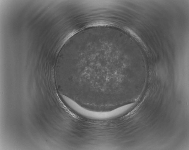 X0000056001329200509092035