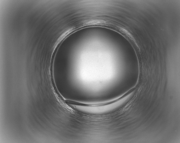 X0000056001330200509092036