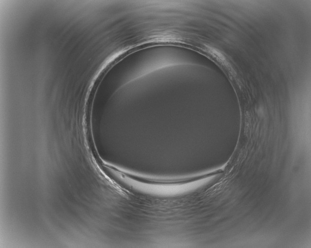 X0000056001331200509092036