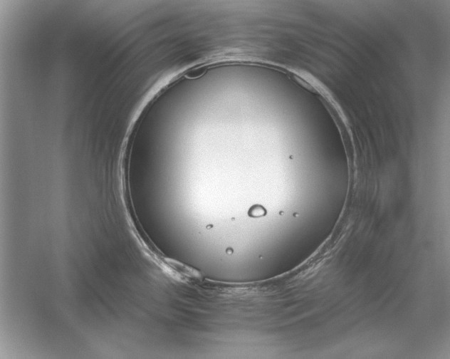 X0000056001341200509092036