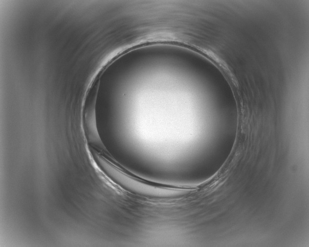 X0000056001342200509092036