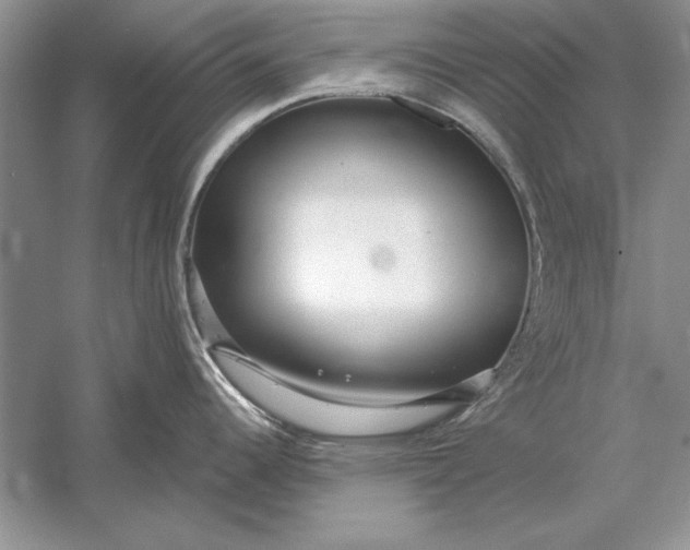 X0000056001344200509092036