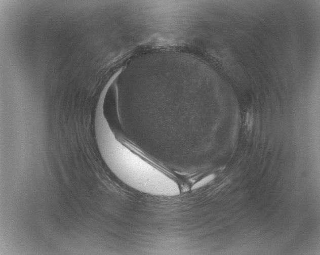 X0000056001348200509092035