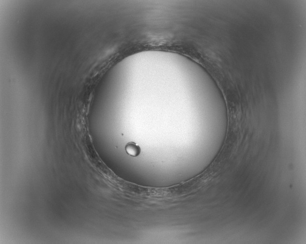 X0000056001349200509092035